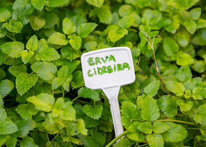 Moradas Do Vale Praia Do Rosa